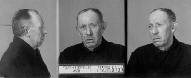 Maximilian Wilcek