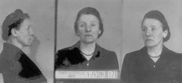 Josefine Voitech Josefine Voitech