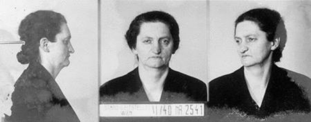 Julia Vitek Julia Vitek
