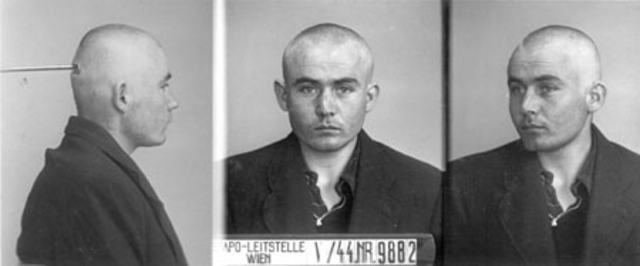 Josef Wild Josef Wild
