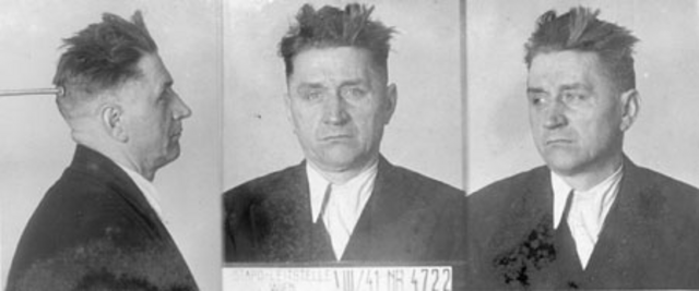 Anton Kain Anton Kain