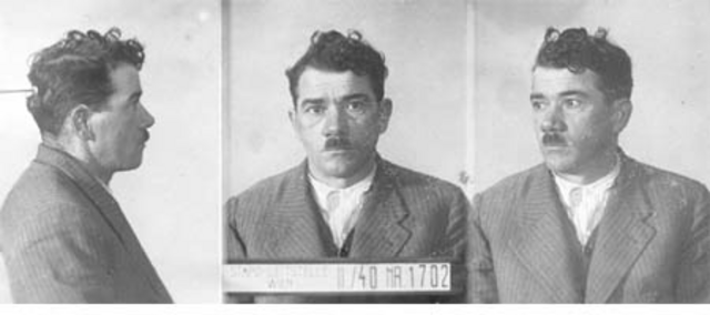Stefan Wolf