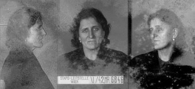 Anna Stein Anna Stein