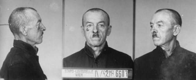 Johann Bauer Johann Bauer