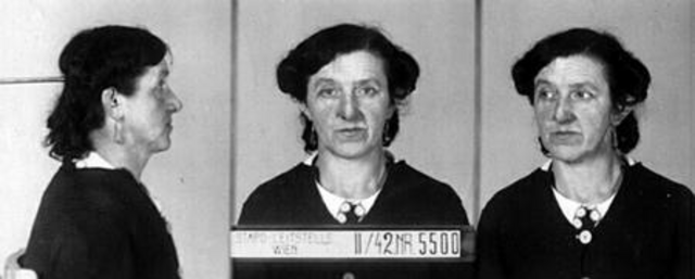 Elsa Drapela Elsa Drapela
