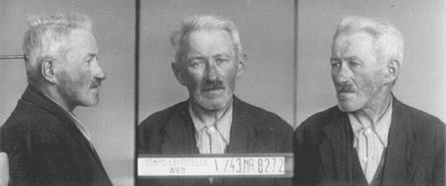 Josef Hauer Josef Hauer