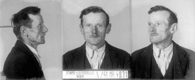 Josef Pocta Josef Pocta