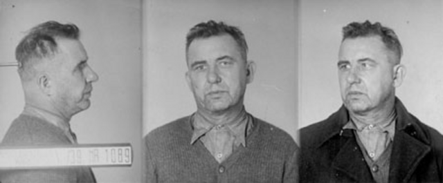 Alois Grün Alois Grün