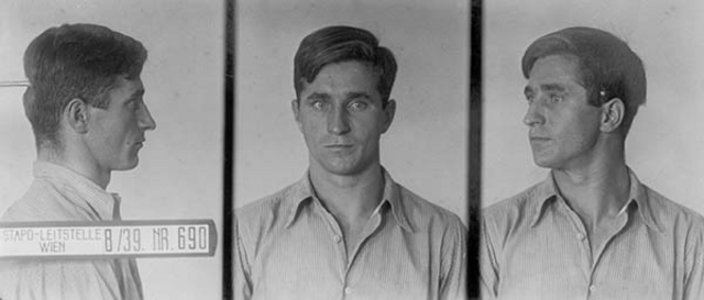 Alfred Ernst Alfred Ernst