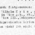 Tagesrapport Gestapo Wien (Auszug)