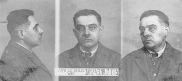 Johann Steuer Johann Steuer
