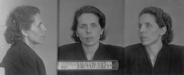 Julie Laub Julie Laub
