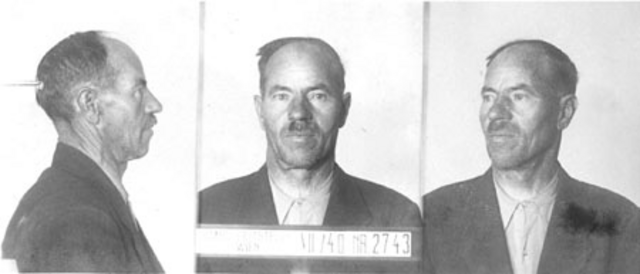 Anton Steiner