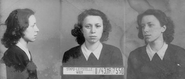 Hermine Vizdal Hermine Vizdal