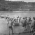 Ebro, Juli 1938
