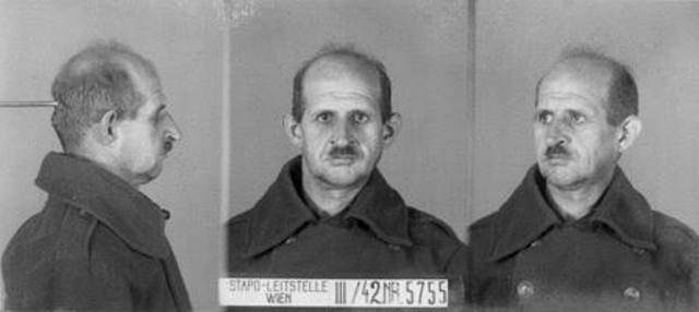 Bela Jelenik Bela Jelenik