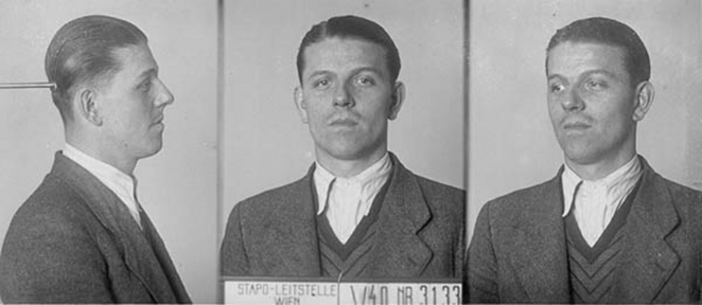 Karl Krnoul Karl Krnoul