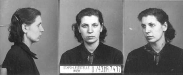 Johanna Cupal Johanna Cupal