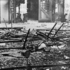 Zerstörungen auf dem Wiener Zentralfriedhof