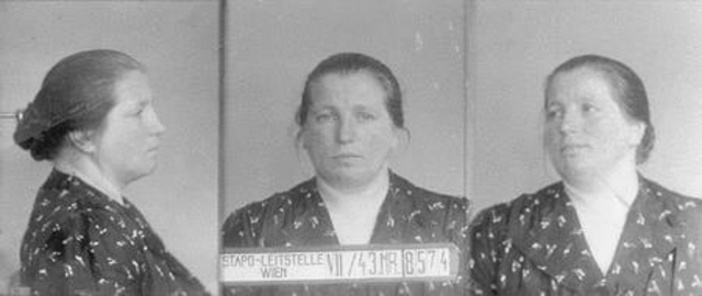 Rosina Wenzl