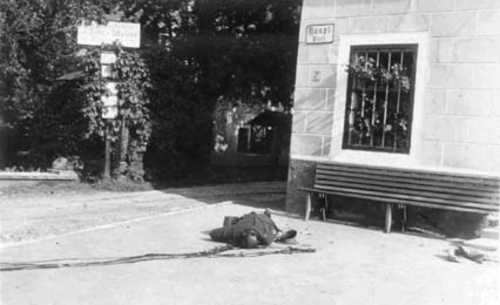 NS-Juliputsch 1934: Urban Tiefenbacher (Schladming)