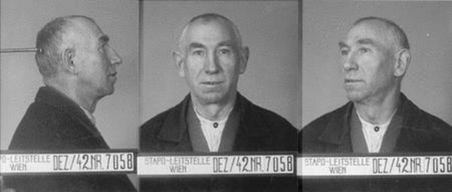 Samuel Halwax Samuel Halwax